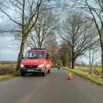 Einsatz Fuerwehr Barnstedt: Baum auf Strasse in Richtung Betzendorf